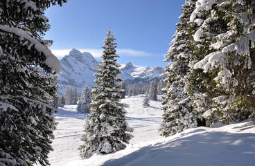 Majestic Alpine view. Braunwald, Switzerland