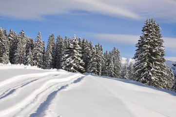 Fototapeta na wymiar Majestic krajobrazy alpejskie. Braunwald, Szwajcaria