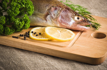 Pike perch on a wooden kitchen board, it is isolated on white