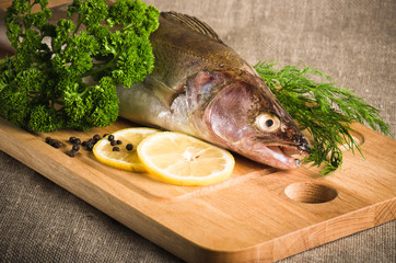 Pike perch on a wooden kitchen board, it is isolated on white