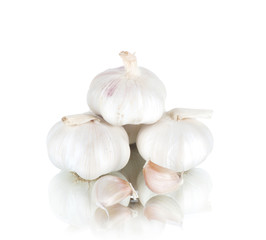 garlic