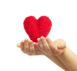 Fototapeta premium heart in hands