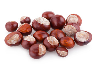 chestnuts