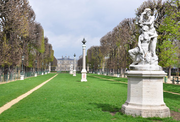 Fototapeta na wymiar Luxembourg garden in Paris