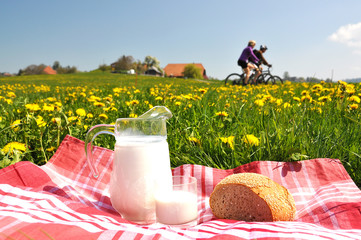 Jug of milk and bread on the spring meadow. Emmental region, Swi - 45465667