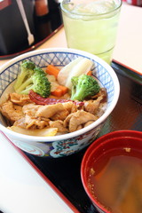 Japanese food, tempura on rice with green tea