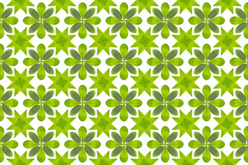 Green leaf flower pattern background