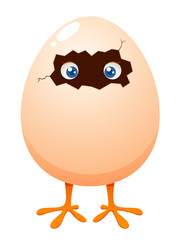 illustration of Little chicken in egg