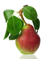 Ripe pear