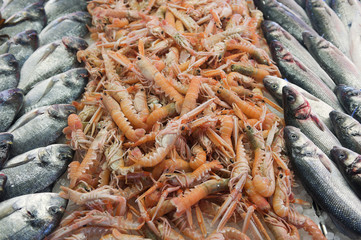 Adriatic sea fish at fish market