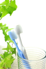 toothbrush and glass