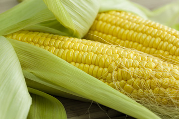 皮を剥いたトウモロコシ