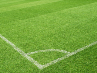 Fototapeta premium Soccer field