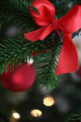 rote Weihnachtskugel am Baum