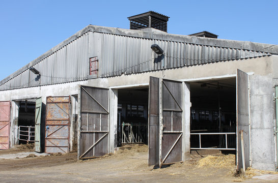 cow stable agriculture