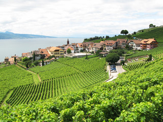 Fototapeta na wymiar Famouse winnic w regionie Lavaux przeciwko jeziora Genewa. Switzerl