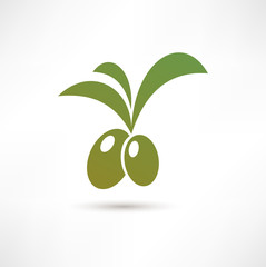 Olive icon