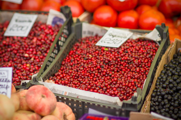 Variety of wild berries on table on city market
