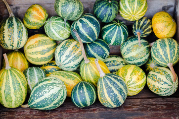 mixed pumpkins