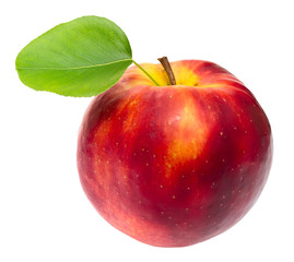 Ripe red apple isolated on the white background.