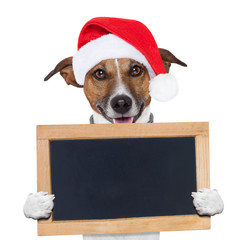 christmas banner placeholder dog