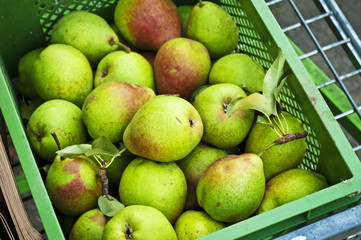 Birnen auf dem Markt