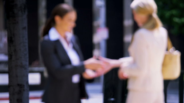 Females shaking hands on business