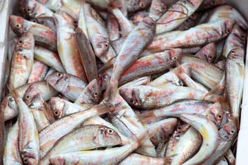 Fresh fish on ice on the market