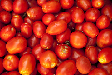Tomatoes