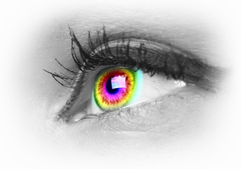 Human eye on grey background