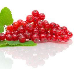 red currant - close-up on white background