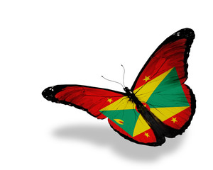 Grenada flag butterfly flying, isolated on white background
