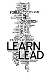 Word Cloud "Learn / Lead"