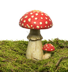 red and whte mushroom