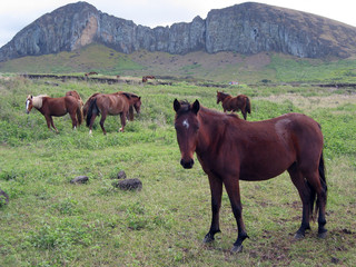 Easter island