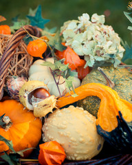 Herbstdekoration Arrangement 3
