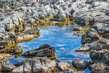 Sea puddle