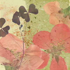 Romantic Flower Background - 45493201