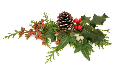 Winter Flora Decoration