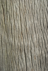 Old weathered grey wooden board as background