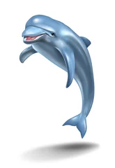 Printed kitchen splashbacks Dolphins Dolphin Jump