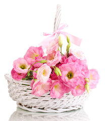 Obraz premium bouquet of eustoma flowers in basket, isolated on white