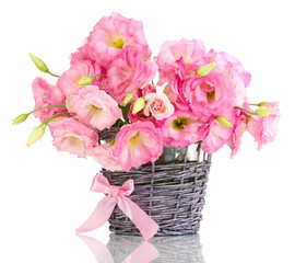 bouquet of eustoma flowers in  wicker vase, isolated on white