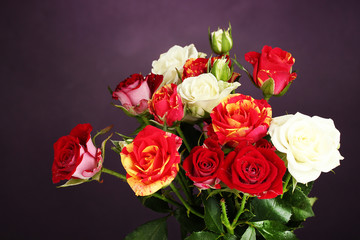 Bouquet of beautiful roses on purple background close-up