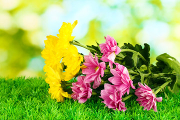 bouquet of beautiful chrysanthemums