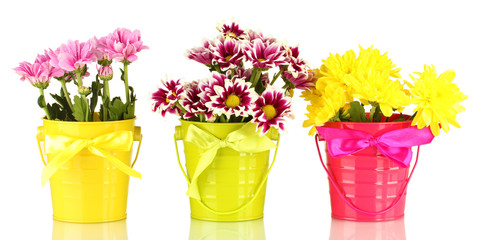beautiful bouquet of chrysanthemums in a bright colorful