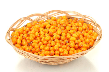 sea buckthorn in basket isolated on white