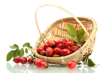 ripe hip roses with leaves in basket, isolated on white