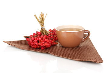 tea with red viburnum isolated on white