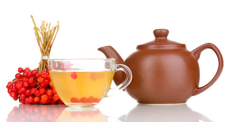 Obraz na płótnie Canvas tea with red viburnum isolated on white